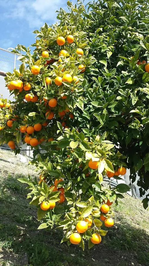 בית נופש Sayalonga Villa Perla Blanca ספרד